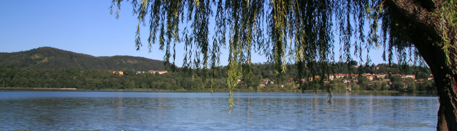 LAGO DI COMABBIO (1) COMPRESSA