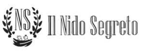 Nidosegreto B&B